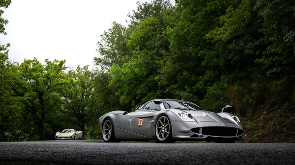 Animaux en Sidecar : Emmenez Vos Compagnons à Quatre Pattes pour un Voyage Inoubliable